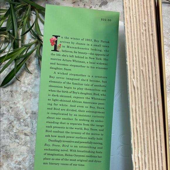 Boy, Snow, Bird Novel by Helen Oyeyemi; Fiction; African American; Literature - Picture 3 of 5